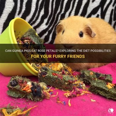 Can Guinea Pigs Eat Flowers? Exploring the Petals and the Pets