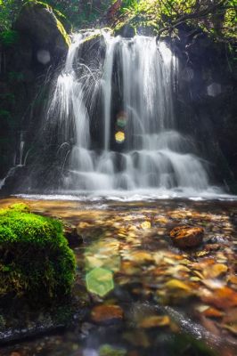  Dashi Waterfall: En Skön Oas Med Vattenfall Och Mystisk Natur!