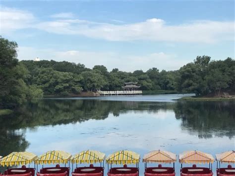  Qiqihar Forest Park en fantastisk oas för naturälskare och avslappningssugna!