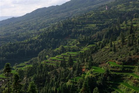 Suihua Shangzhi Forest Park, en oas av lugn och grönska i Suihua!