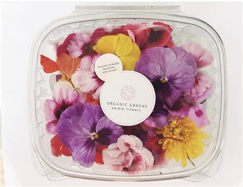 Where to Buy Edible Flowers Near Me: A Culinary Adventure in Bloom